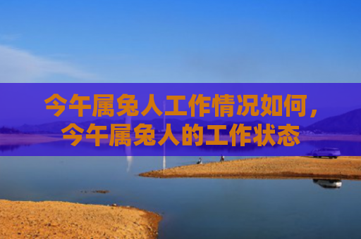 今午属兔人工作情况如何，今午属兔人的工作状态