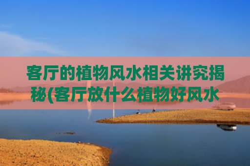 客厅的植物风水相关讲究揭秘(客厅放什么植物好风水又好养)