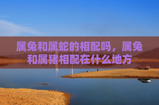 属兔和属蛇的相配吗，属兔和属猪相配在什么地方