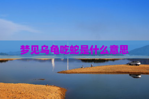 梦见乌龟吃蛇是什么意思