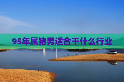95年属猪男适合干什么行业
