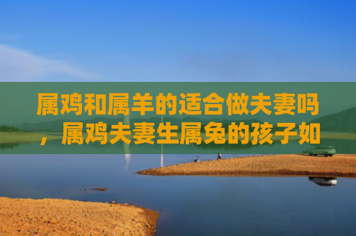 属鸡和属羊的适合做夫妻吗，属鸡夫妻生属兔的孩子如何培养独立自主的个性，属鸡夫妻生属兔的孩子特点及育儿技巧