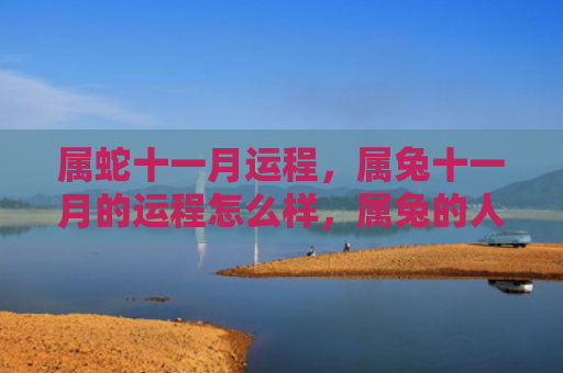 属蛇十一月运程，属兔十一月的运程怎么样，属兔的人即将迎来十一月的运程