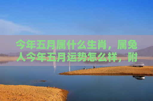 今年五月属什么生肖，属兔人今年五月运势怎么样，附详细介绍