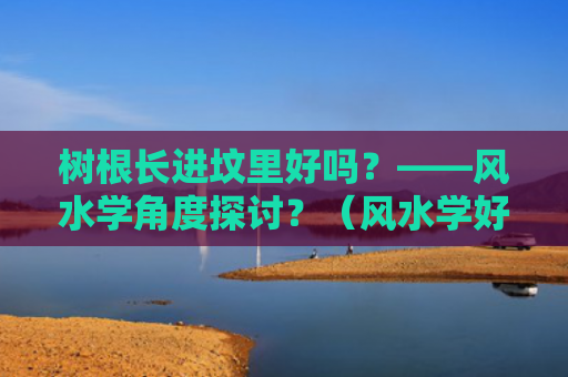 树根长进坟里好吗？——风水学角度探讨？（风水学好吗树根）