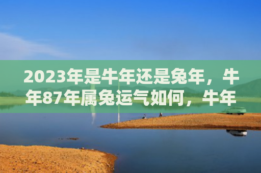 2023年是牛年还是兔年，牛年87年属兔运气如何，牛年87年属兔运势如何