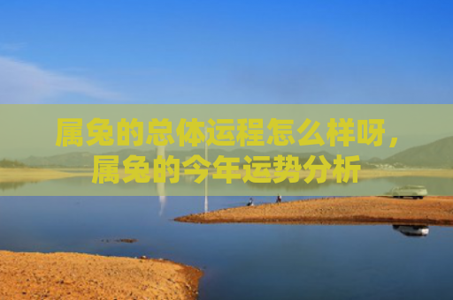 属兔的总体运程怎么样呀，属兔的今年运势分析