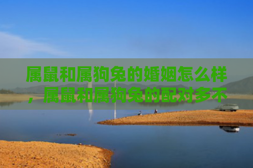 属鼠和属狗兔的婚姻怎么样，属鼠和属狗兔的配对多不多见