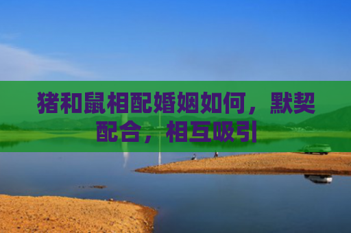 猪和鼠相配婚姻如何，默契配合，相互吸引