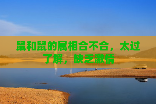 鼠和鼠的属相合不合，太过了解，缺乏激情