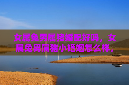 女属兔男属猪婚配好吗，女属兔男属猪小婚姻怎么样，附详细介绍