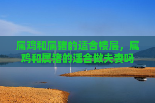 属鸡和属猪的适合楼层，属鸡和属猪的适合做夫妻吗