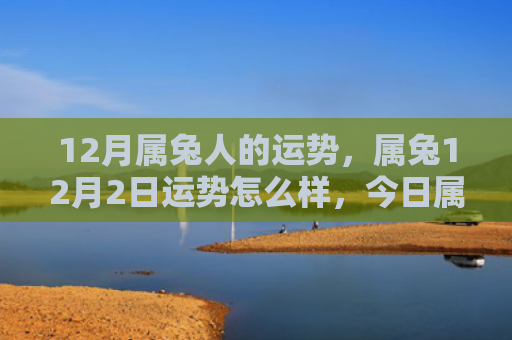 12月属兔人的运势，属兔12月2日运势怎么样，今日属兔的运势