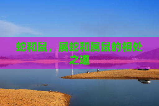 蛇和鼠，属蛇和属鼠的相处之道
