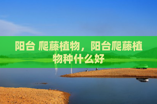 阳台 爬藤植物，阳台爬藤植物种什么好