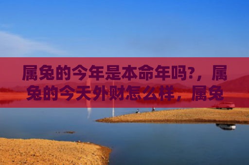 属兔的今年是本命年吗?，属兔的今天外财怎么样，属兔人今天外财运势