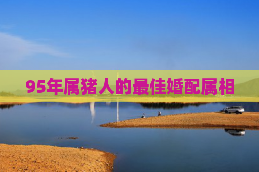 95年属猪人的最佳婚配属相