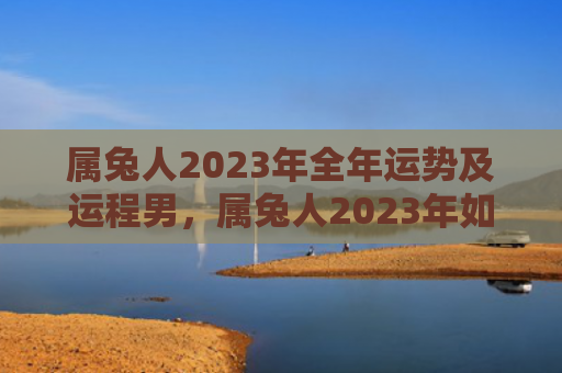 属兔人2023年全年运势及运程男，属兔人2023年如何化解劫难