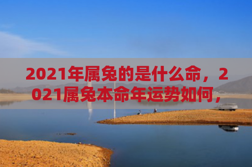 2021年属兔的是什么命，2021属兔本命年运势如何，2021属兔本命年是否会有工作机会