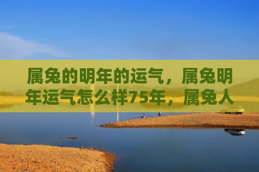 属兔的明年的运气，属兔明年运气怎么样75年，属兔人的运势预测