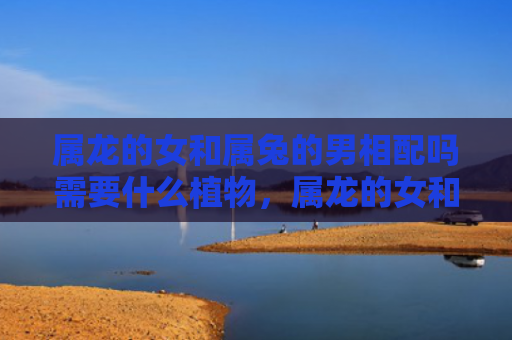 属龙的女和属兔的男相配吗需要什么植物，属龙的女和属兔的男会有缘分吗，属龙的女和属兔的男的关系如何