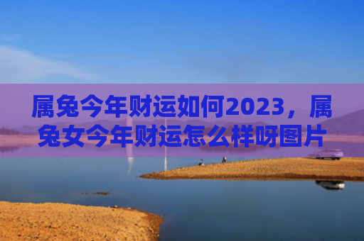 属兔今年财运如何2023，属兔女今年财运怎么样呀图片，属兔女的今年财运会如何