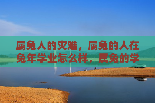 属兔人的灾难，属兔的人在兔年学业怎么样，属兔的学业如何