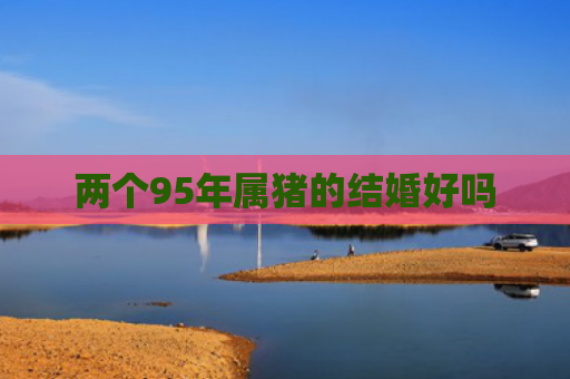 两个95年属猪的结婚好吗
