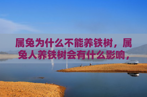 属兔为什么不能养铁树，属兔人养铁树会有什么影响，铁树是兔子的吉祥植物