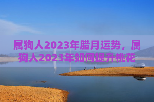 属狗人2023年腊月运势，属狗人2023年如何提升桃花运