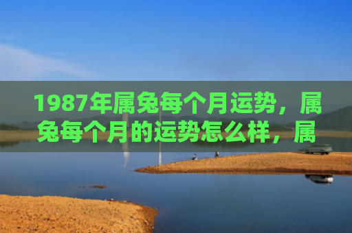 1987年属兔每个月运势，属兔每个月的运势怎么样，属兔的2022年12月运势如何