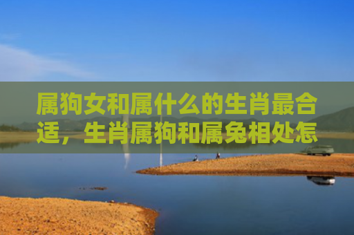 属狗女和属什么的生肖最合适，生肖属狗和属兔相处怎么样，属狗和属兔的相处关系