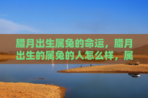 腊月出生属兔的命运，腊月出生的属兔的人怎么样，属兔的人生活中都有哪些特点