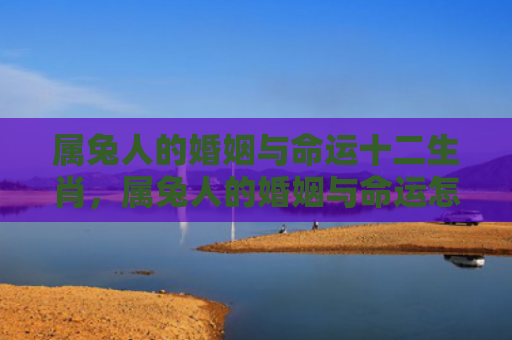 属兔人的婚姻与命运十二生肖，属兔人的婚姻与命运怎么样，属兔人的命运与婚姻指南