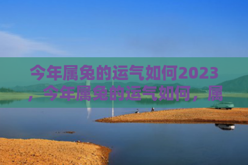 今年属兔的运气如何2023，今年属兔的运气如何，属兔的人今年的运势分析