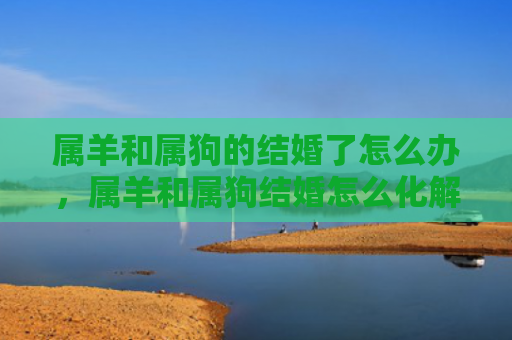 属羊和属狗的结婚了怎么办，属羊和属狗结婚怎么化解