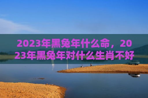 2023年黑兔年什么命，2023年黑兔年对什么生肖不好