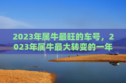 2023年属牛最旺的车号，2023年属牛最大转变的一年吗