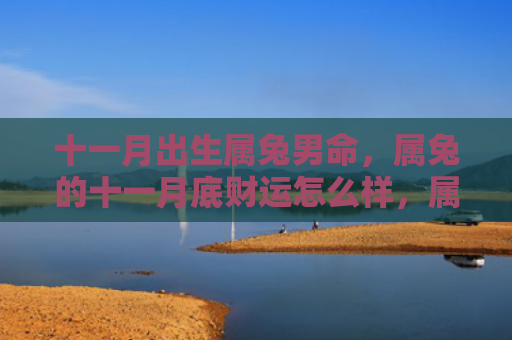 十一月出生属兔男命，属兔的十一月底财运怎么样，属兔的财运在十一月底是如何的呢