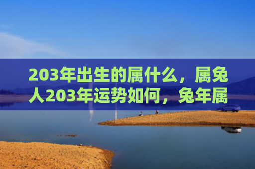 203年出生的属什么，属兔人203年运势如何，兔年属相人运势预测