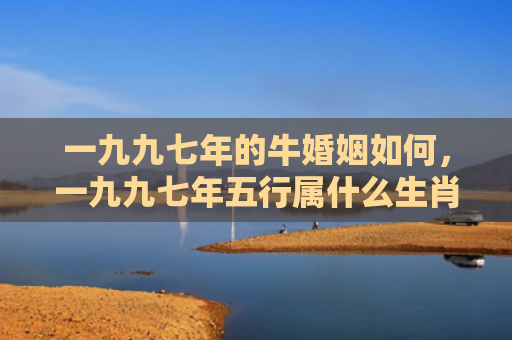 一九九七年的牛婚姻如何，一九九七年五行属什么生肖属什么命的