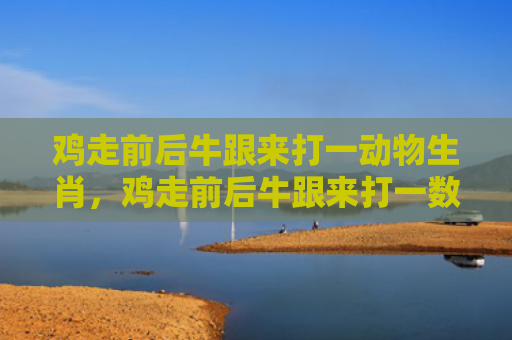 鸡走前后牛跟来打一动物生肖，鸡走前后牛跟来打一数字