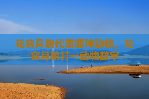 花容月貌代表哪种动物，花容月貌打一动物数字