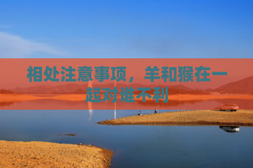 相处注意事项，羊和猴在一起对谁不利