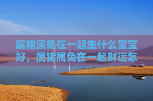 属猪属兔在一起生什么宝宝好，属猪属兔在一起财运怎么样，猪兔恋财运如何
