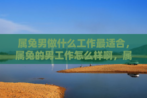 属兔男做什么工作最适合，属兔的男工作怎么样啊，属兔男的职业评估