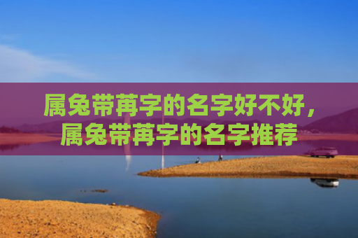 属兔带苒字的名字好不好，属兔带苒字的名字推荐