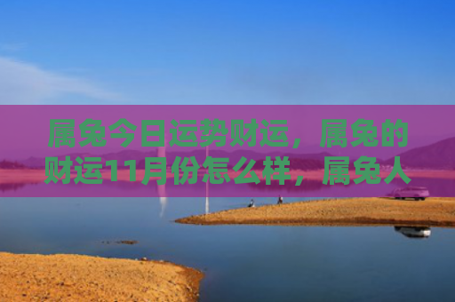 属兔今日运势财运，属兔的财运11月份怎么样，属兔人11月份的财运