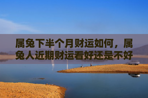 属兔下半个月财运如何，属兔人近期财运看好还是不好