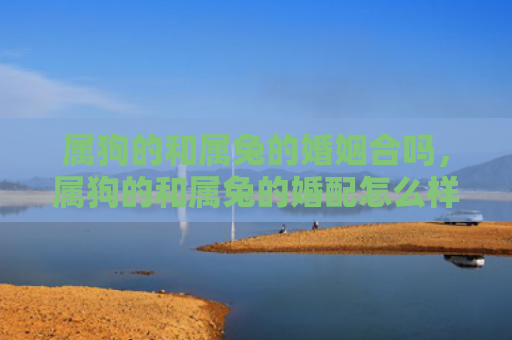 属狗的和属兔的婚姻合吗，属狗的和属兔的婚配怎么样，属狗的和属兔的婚配是否适合